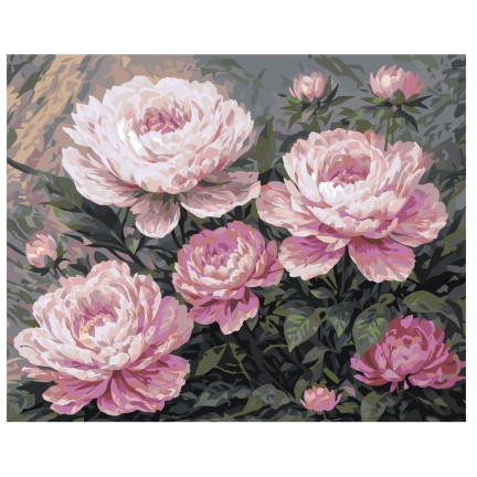 Maalaa numeroilla AAAA-NK637