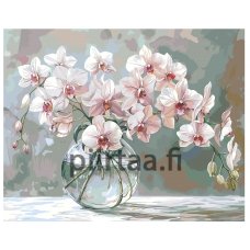 Maalaa numeroilla AAAA-NK929