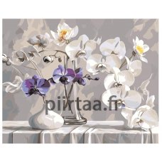 Maalaa numeroilla AAAA-NK930