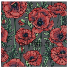 Maalaa numeroilla AAAA-Q1916