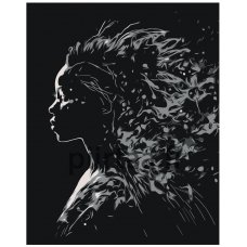 Maalaa numeroilla AAAA-Q2296