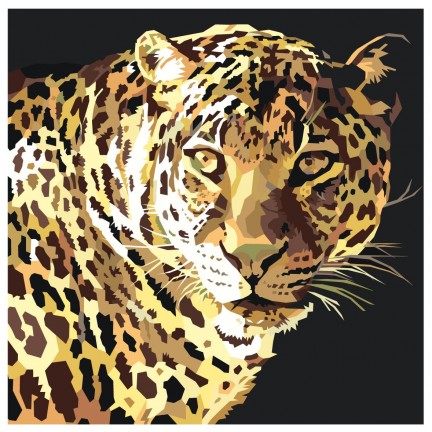 Maalaa numeroilla AAAA-Q2699 Maalaa numeroilla AAAA-Q2699