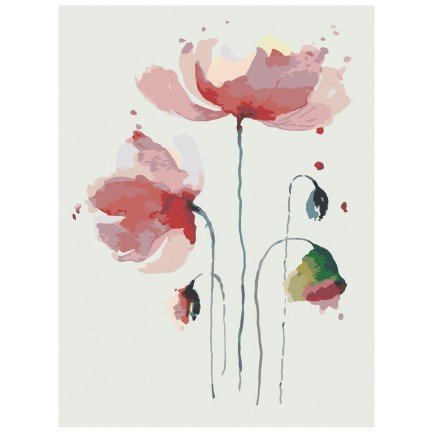 Maalaa numeroilla AAAA-Q3129