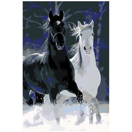 Maalaa numeroilla ANNA-051110 Maalaa numeroilla ANNA-051110