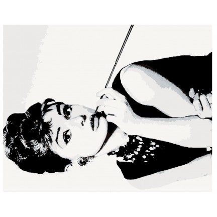 Maalaa numeroilla ARTH-AH321