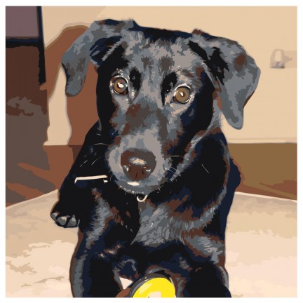 Maalaa numeroilla ETS213-4040 Maalaa numeroilla ETS213-4040