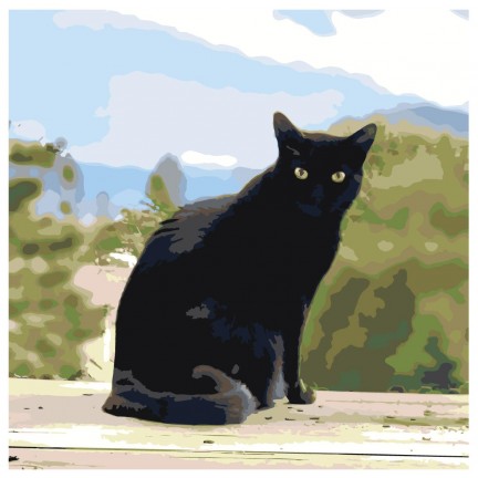 Maalaa numeroilla ETS294