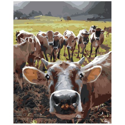 Maalaa numeroilla EVEE-art-0322