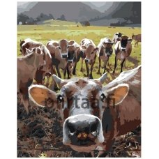 Maalaa numeroilla EVEE-art-0322