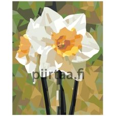 Maalaa numeroilla EVEE-art-0540