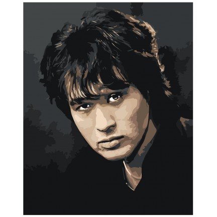 Maalaa numeroilla EVEE-tsoy-0003 Maalaa numeroilla EVEE-tsoy-0003