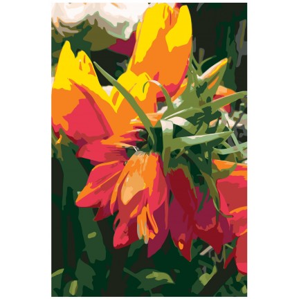 Maalaa numeroilla F40