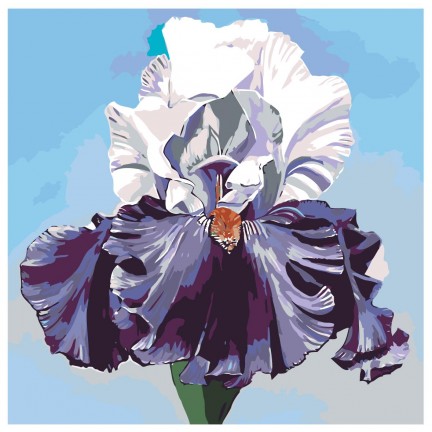 Maalaa numeroilla F57