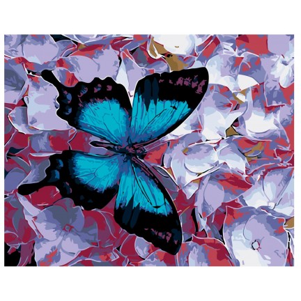 Maalaa numeroilla F58