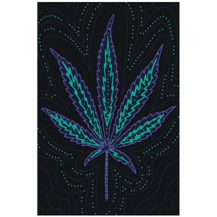 Maalaa numeroilla FU22 Maalaa numeroilla FU22