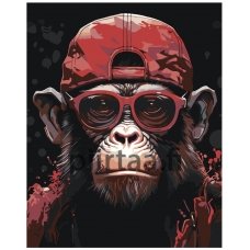 Maalaa numeroilla IIIR-KIR396