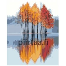 Maalaa numeroilla IIIR-KIR401