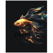 Maalaa numeroilla IIIR-KRS301