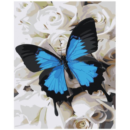 Maalaa numeroilla IIIR-STP548 Maalaa numeroilla IIIR-STP548