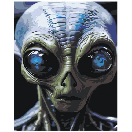 Maalaa numeroilla IIIR-STP577 Maalaa numeroilla IIIR-STP577