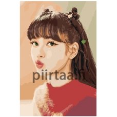 Maalaa numeroilla K-POP2