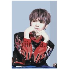 Maalaa numeroilla K-POP5