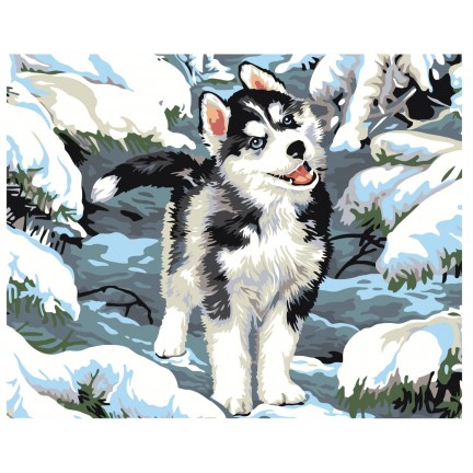 Maalaa numeroilla KRYM-AN05