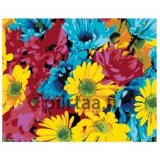 Maalaa numeroilla KTMK-006951