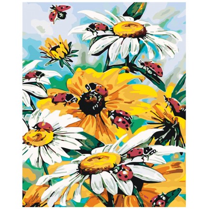 Maalaa numeroilla KTMK-006955