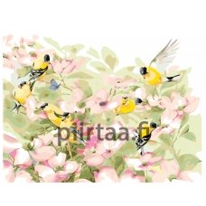 Maalaa numeroilla KTMK-00695