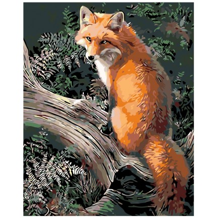 Maalaa numeroilla KTMK-17020