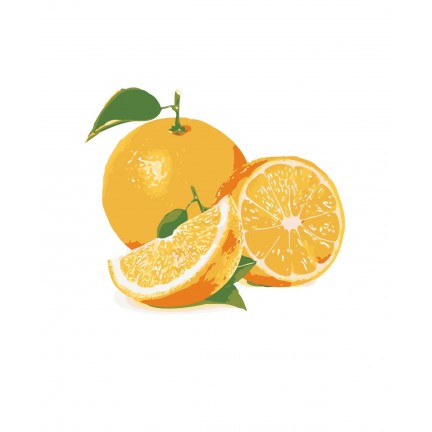 Maalaa numeroilla KTMK-25626 Maalaa numeroilla KTMK-25626