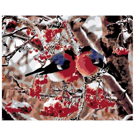 Maalaa numeroilla KTMK-32153