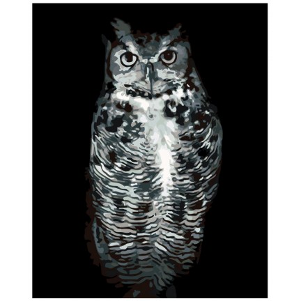 Maalaa numeroilla KTMK-351311