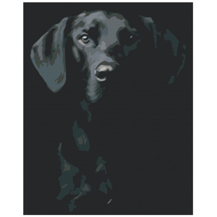 Maalaa numeroilla KTMK-351312