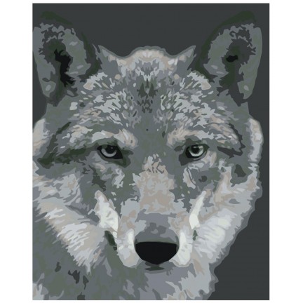 Maalaa numeroilla KTMK-351313