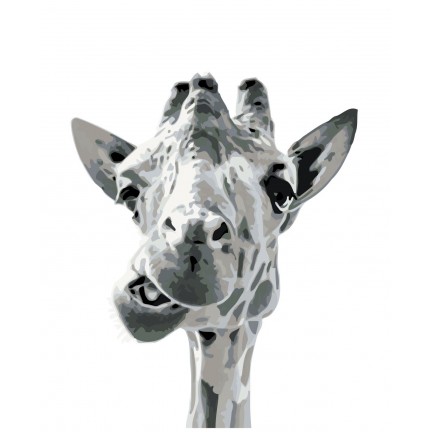 Maalaa numeroilla KTMK-351314