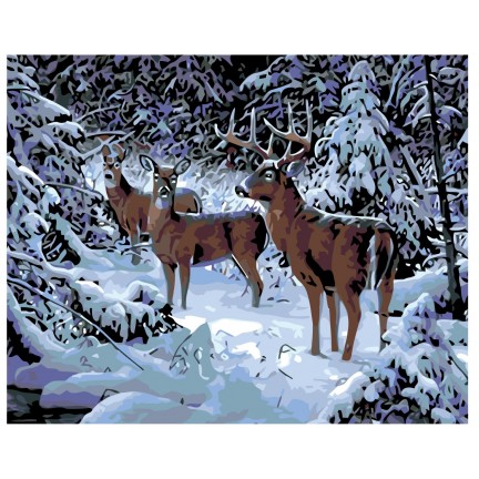 Maalaa numeroilla KTMK-39963