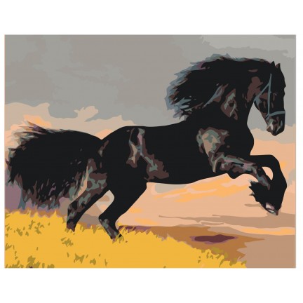 Maalaa numeroilla KTMK-39979