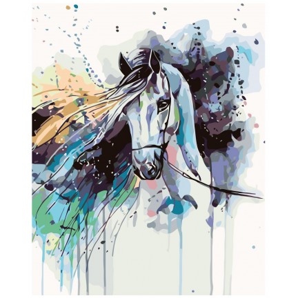 Maalaa numeroilla KTMK-48662