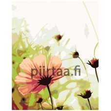 Maalaa numeroilla KTMK-69536