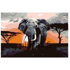 Maalaa numeroilla KTMK-Elephant