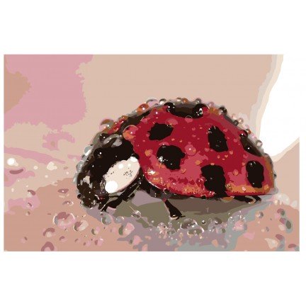 Maalaa numeroilla KTMK-beruska012 Maalaa numeroilla KTMK-beruska012