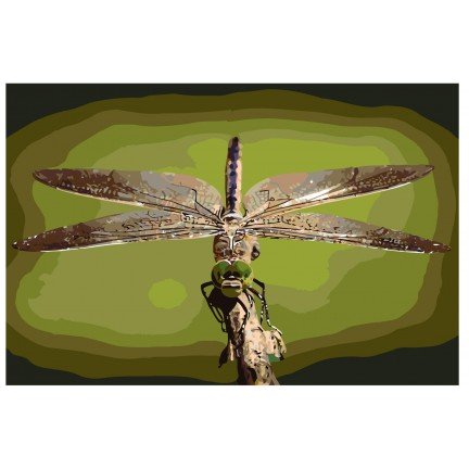 Maalaa numeroilla KTMK-fragongly012 Maalaa numeroilla KTMK-fragongly012