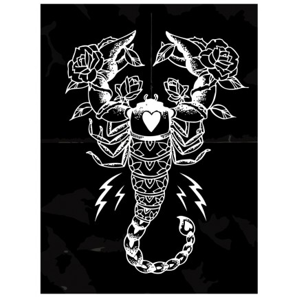 Maalaa numeroilla KTMK-scorpio02