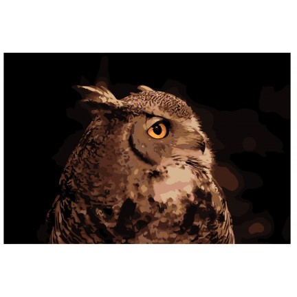 Maalaa numeroilla KTMK-sova011