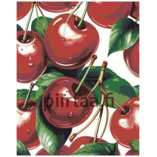 Maalaa numeroilla LIO-098