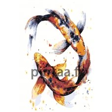 Maalaa numeroilla NA-koi1