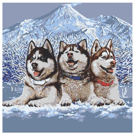 Maalaa numeroilla NA-semikinikafeb5 Maalaa numeroilla NA-semikinikafeb5