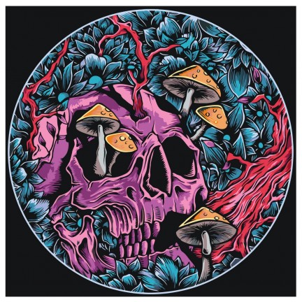 Maalaa numeroilla NA-skullzz1 Maalaa numeroilla NA-skullzz1